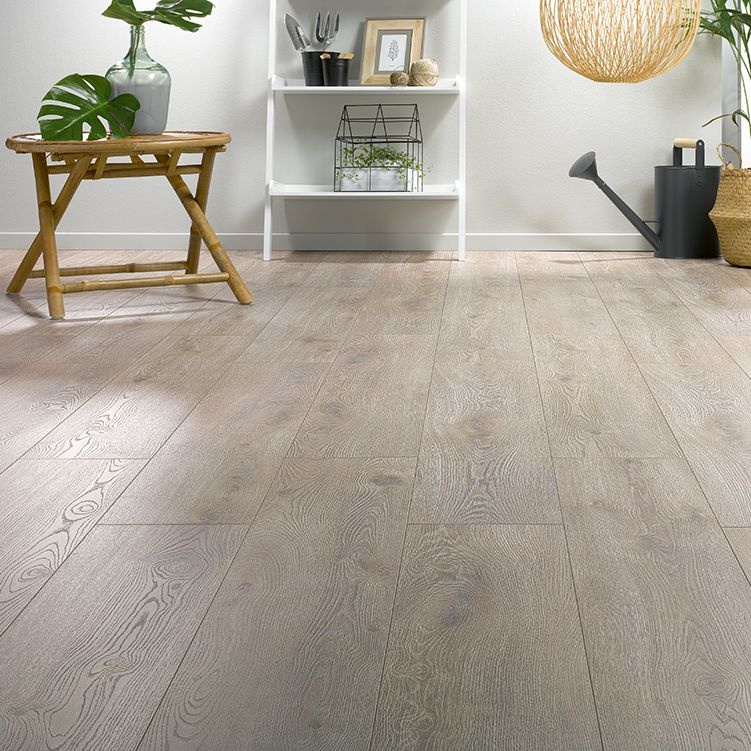 Ламинат ALSAFLOOR Solid Plus «Дуб Лен» фото 1