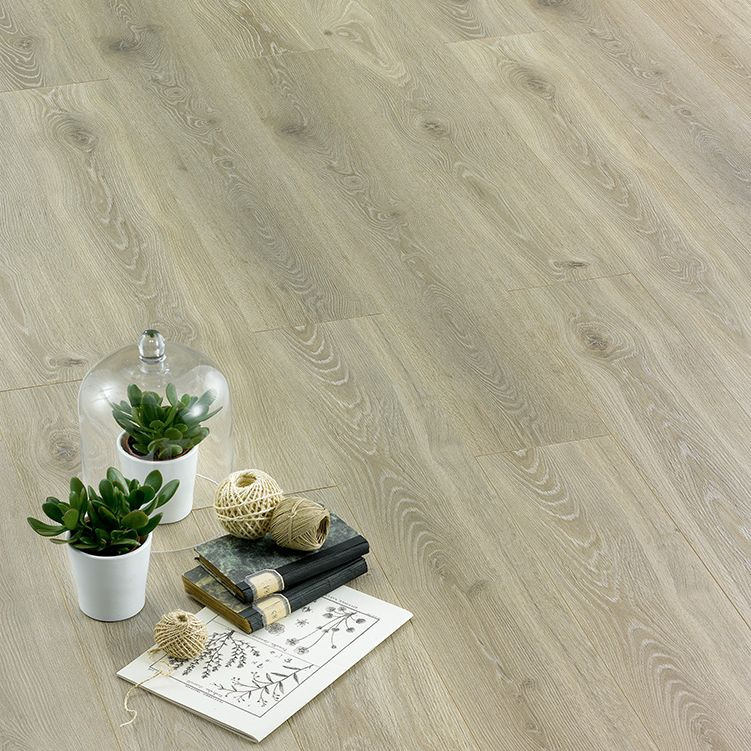 Ламинат ALSAFLOOR Osmoze «Дуб Невада» фото 1